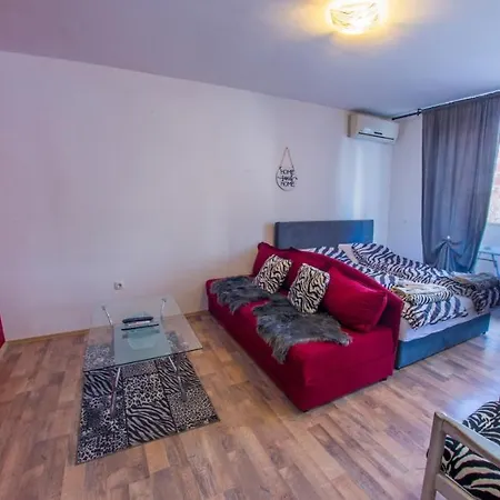 Apartment Studio Zebra